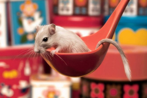 Jak zachować sandbank, aby być zdrowym?